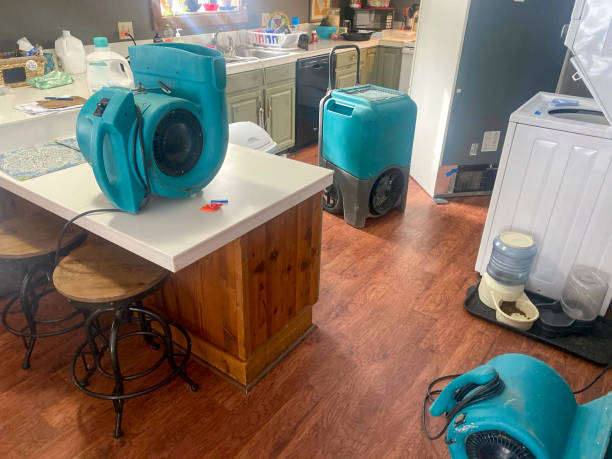 Best Water damage restoration near me  in Rancho Mission Viejo, CA