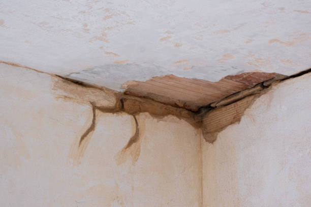 Best Ceiling water damage repair  in Rancho Mission Viejo, CA