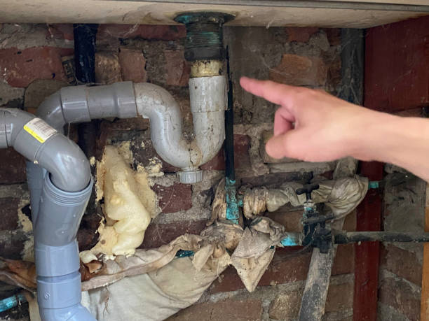 Best Professional water damage repair  in Rancho Mission Viejo, CA