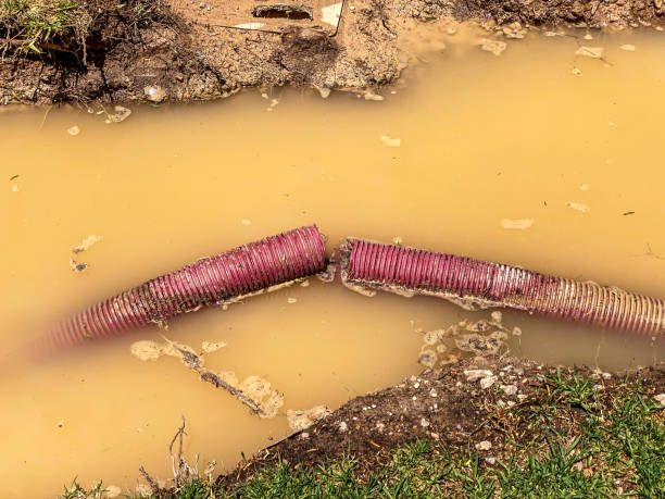 Best Sewage cleanup and water damage restoration  in Rancho Mission Viejo, CA